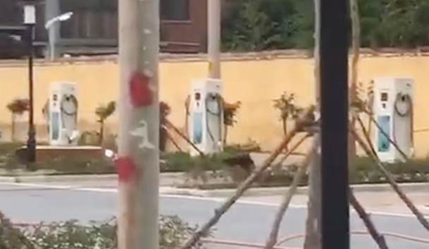 駐馬店市公共停車(chē)場(chǎng)充電站80kW雙槍直流充電樁項(xiàng)目案例